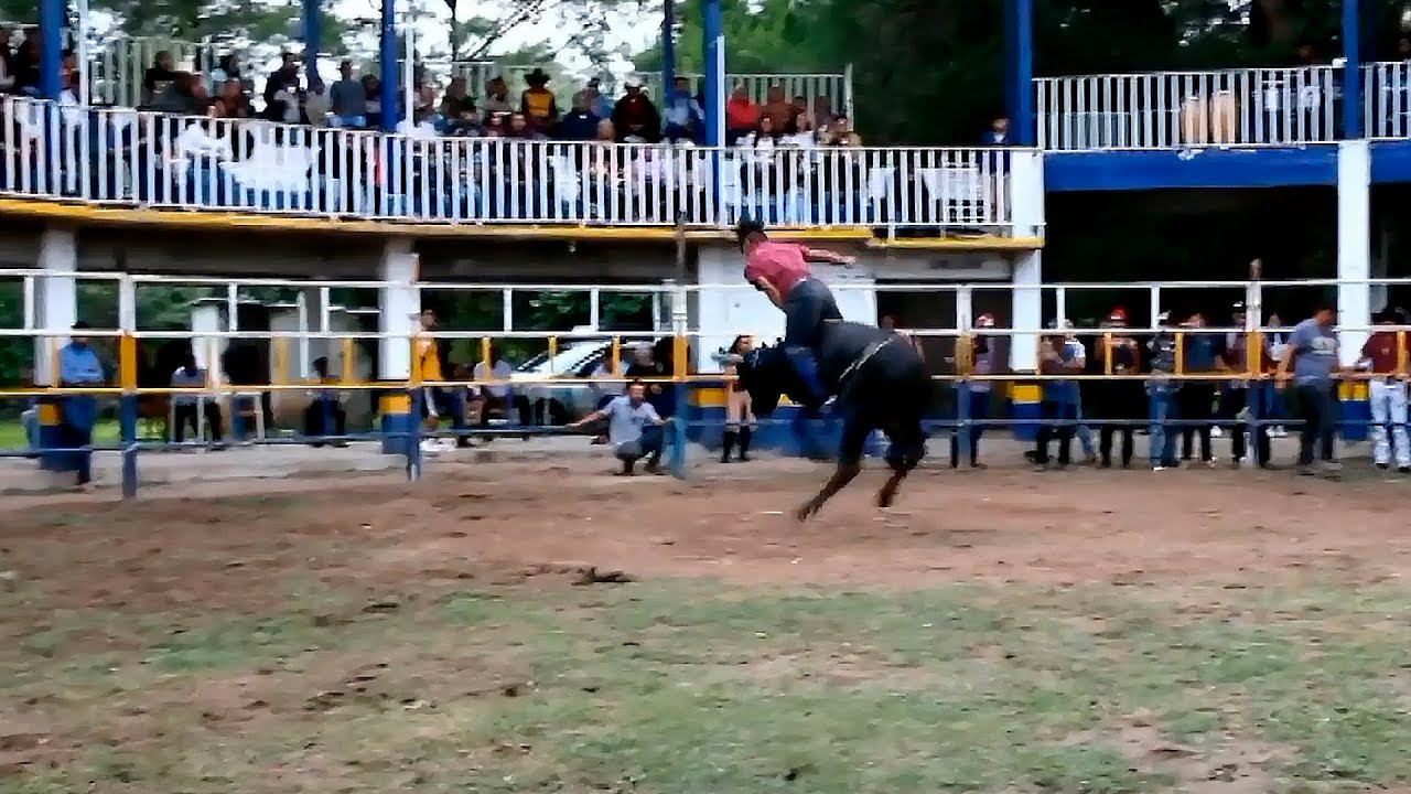 JARIPEO RANCHERO EN SANTIAGO PATLANALÁ 2023