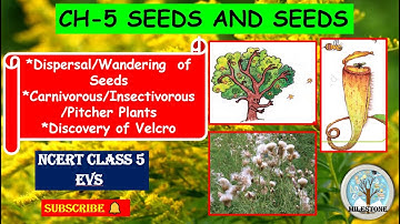 Chapter 5 Seeds and Seeds |Class5EVS | Dispersal of Seeds | Carnivorous Plants | Discovery of Velcro