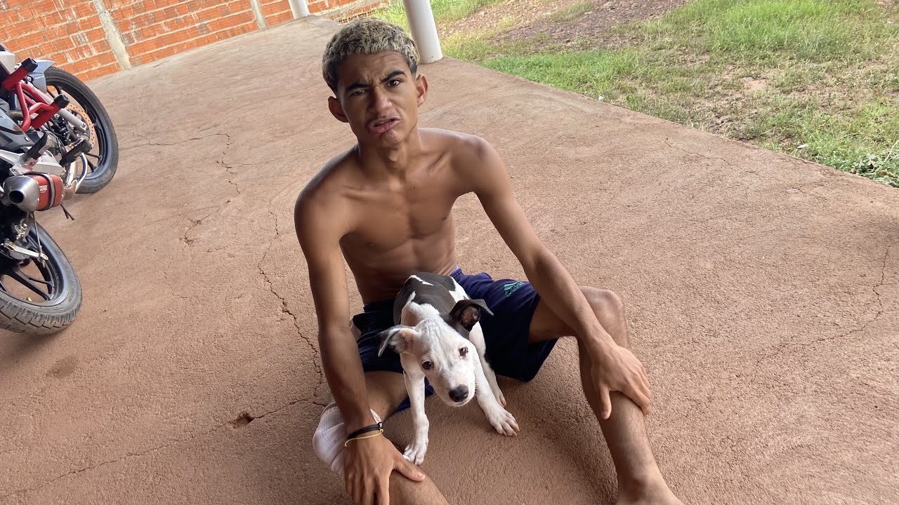 O PITBULL DO BRUTINHO TÁ MUlT0 FURI0S0
