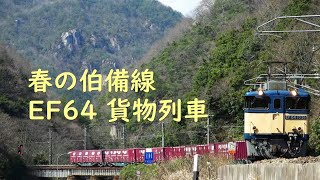 春の伯備線 EF64 貨物列車 2022.4.6