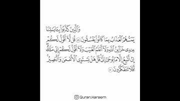 القارئ سعد الغامدي - سورة الأنعام - من الآية 49 إلى الآية 50