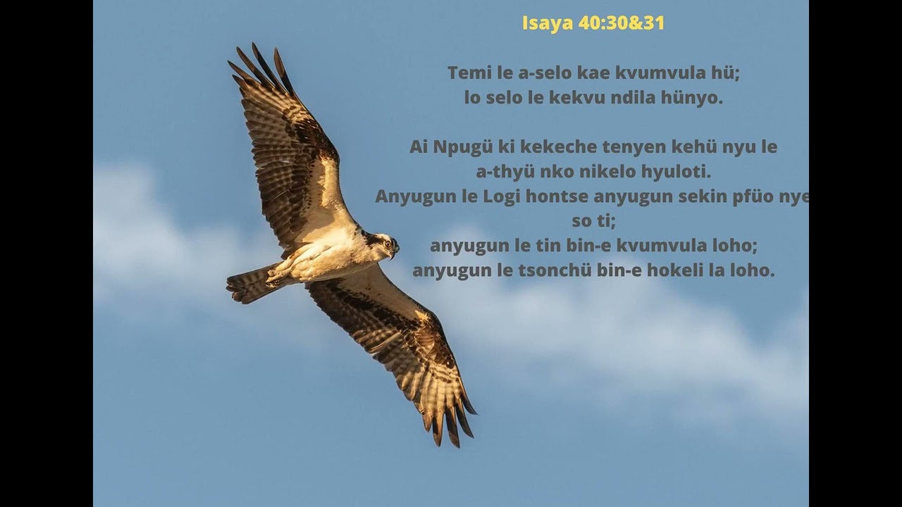 Isaiah 40 vs 30&31 Sunggigü Jo:Nthu Genyu (Rengma Bible Audio)