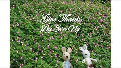 Healing Harp Series --- Give Thanks