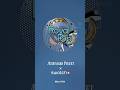 Swatch AP #news #auto #watchfam #swatch #ap #royalpop #sneakpeek #teaser #popit #blues #plastic #bio