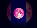 #love #rafi #peace #viral #nature #funny #bollywood #reels #gaming #nature #song