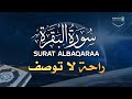 شعور مختلف مع كل آية 💫 سورة البقرة بصوت هادئ وجميل Surah Al-Baqarah #قرآن