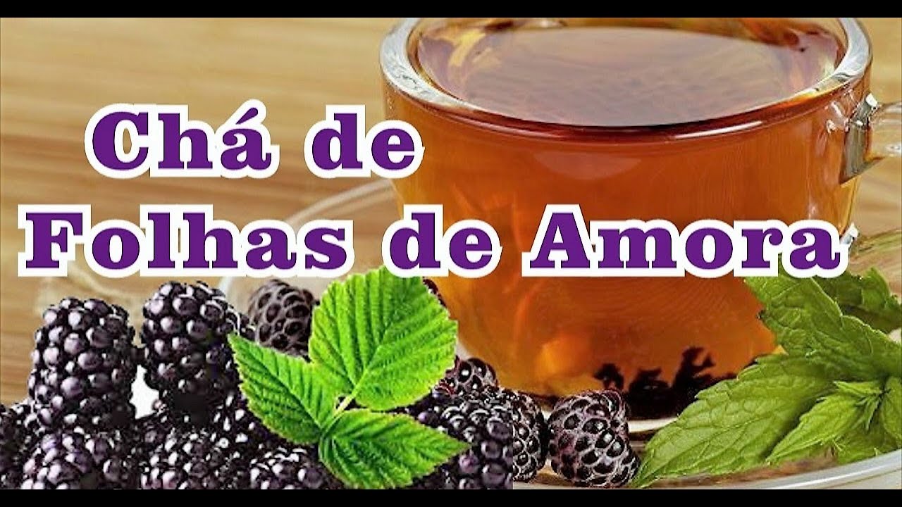 CHÁ DAS FOLHAS DE AMORA-COMBATE INSÔNIA,EXCELENTE PARA OS RINS,SAÚDE DA ...