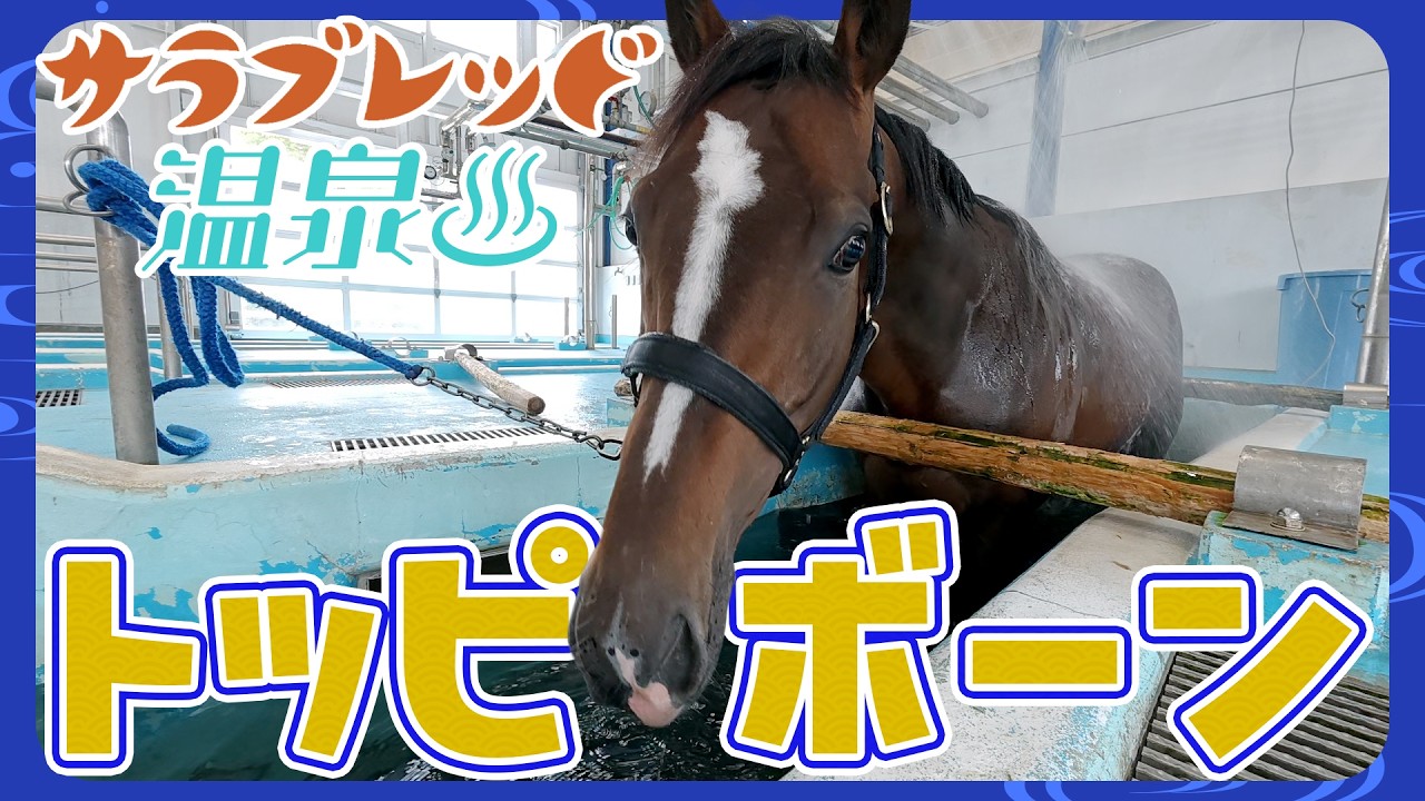 【サラブレッド温泉】トッピボーン編【観るASMR】/JRA-VAN【公式】