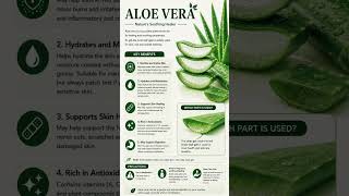 Aloevera benefits #aloevera#aloeverabenefits #healthtips #antioxidants#cooling #shorts#shortsviral