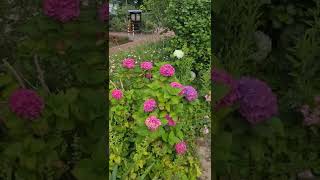 Boşa Gelip Boşa Gidenler / Abdurrahim Karakoç