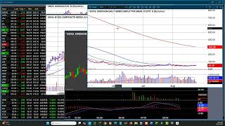 Webinar recording - 25 Aug 2026