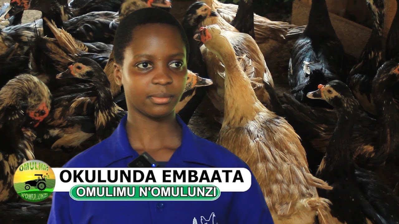 Okulunda embaata part one kirabo sekyaanzi