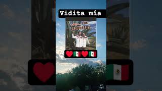 Los troqueros vidita mia,