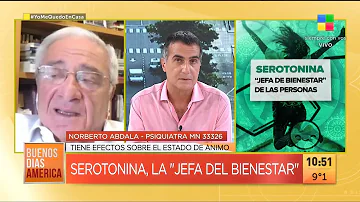 ¿Es buena la leche para la serotonina?