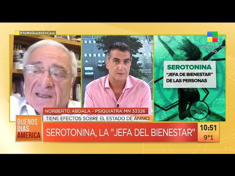 ¿Qué genera la falta de serotonina, la "jefa del bienestar"?