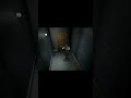 That RE1 atmosphere is unmatched #residentevil #nostalgia #survival