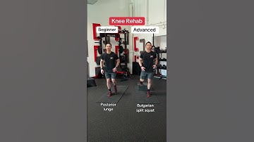 Knee Pain Exercises: Beginner vs Advanced