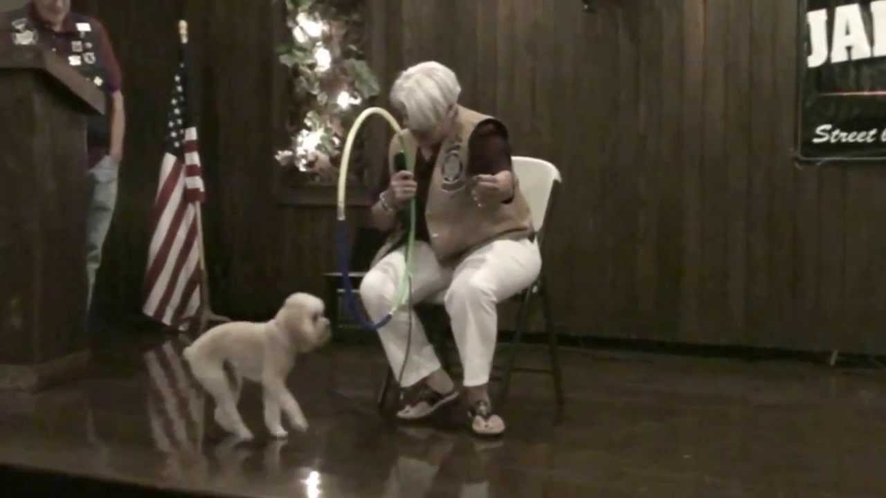 Kathy Barnard & Spanky July 27, 2013