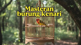SUARA BURUNG |414| Kenari GACOR PANJANG INI Cocok untuk Masteran KENARI PAUD dan Kenari Macet BUNYI 