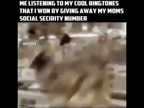 Random shitpost #3