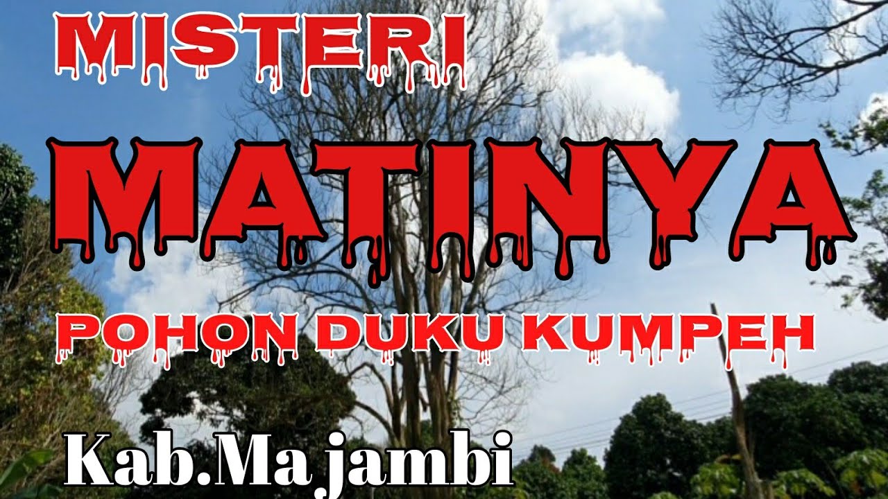 Download Misteri MATInya Batang Duku  kumpeh di Ma.jambi