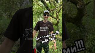 За голавлями!!! #fishing #рыбалка #спиннинг #спиннингист #голавль