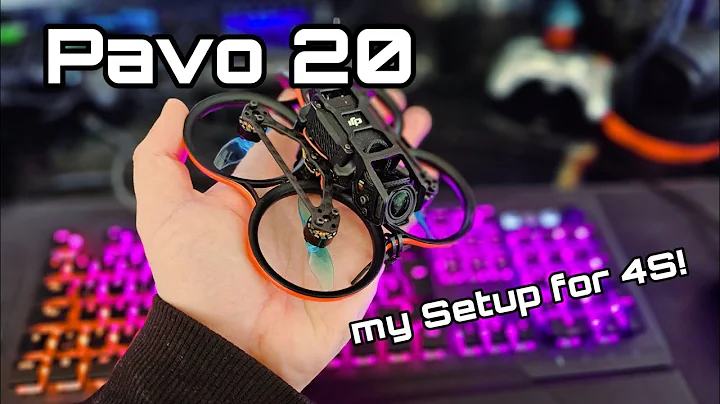 My 4S Pavo 20 - Parts and Settings