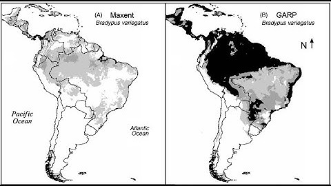 Maximum Entropy Modeling of Species Geographic Distributions