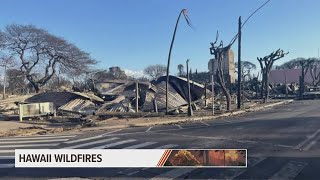 Iowa residents return from Maui after wildfires destroyed city of Lahaina
