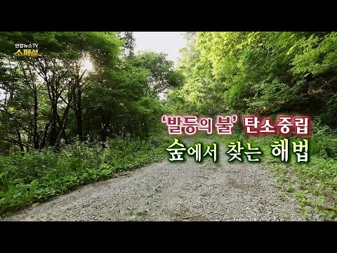 [연합뉴스TV 스페셜] 184회 : &rsquo;발등의 불&rsquo; 탄소중립 숲에서 찾은 해법 / 연합뉴스TV (YonhapnewsTV)