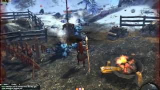 Guild Wars 2 Stress Test
