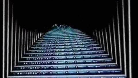 Is consciousness a self referential paradox?