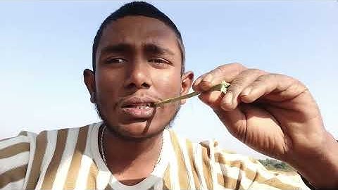 heeriye (official video) jasleen royal ft arijitsingh dulquer salmaan aditya sharma taanitanvir