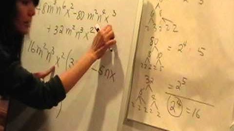 Factoring out the Greatest Common Factor Part 2