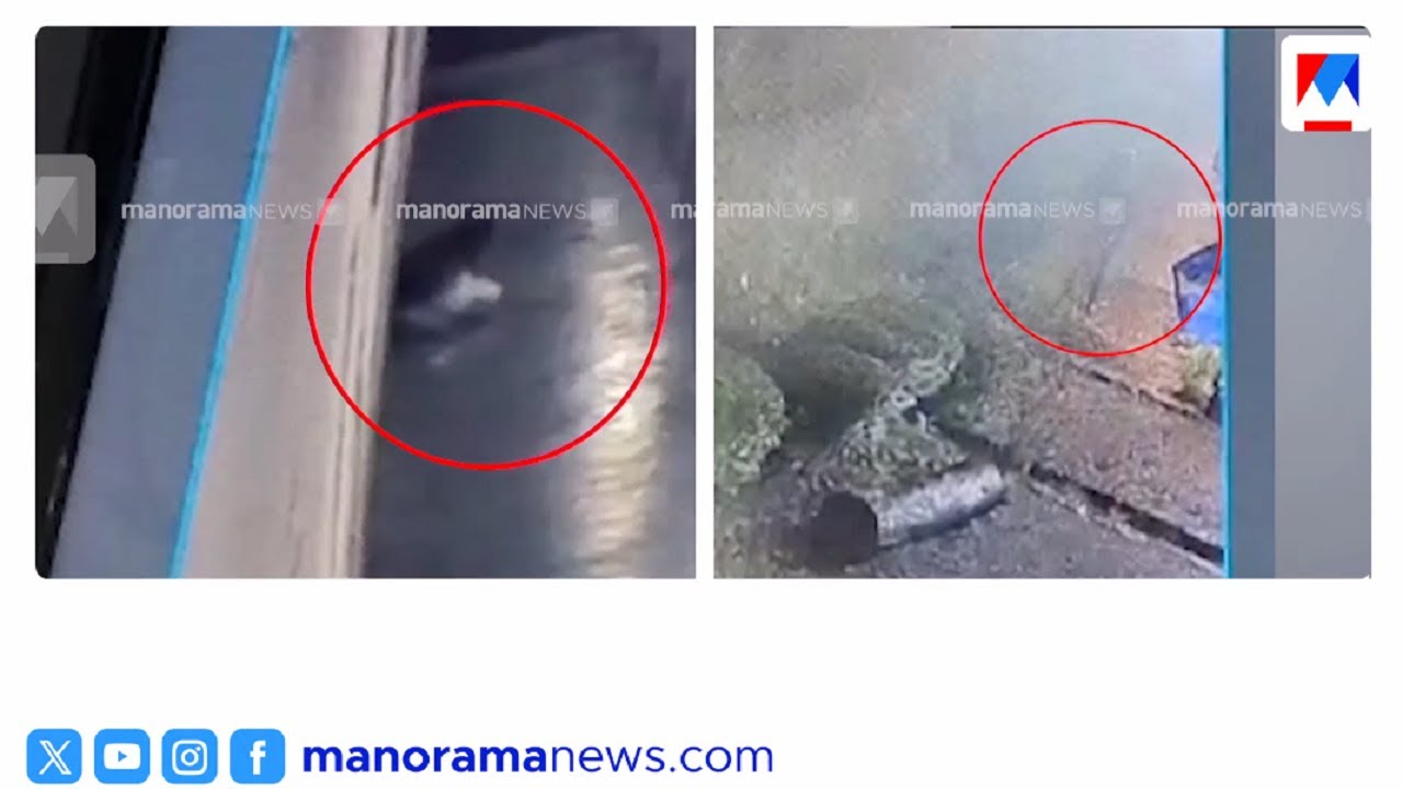 എങ്ങനെ ചാടി? ദാ ഇങ്ങനെ ചാടി.. ഗോവിന്ദച്ചാമി ജയില്‍ ചാടിയ ദൃശ്യങ്ങള്‍ പുറത്ത് | Govindachamy | Prison