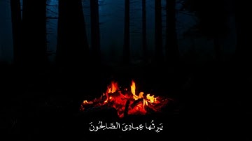 ولقد كتبنا في الزبور من بعد الذكر ـ تلاوة القرآن الكريم