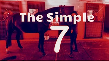 7 Simple Exercises to Help Keep Your Horses’ Topline Healthy