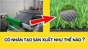 Quy trình cách sản xuất thảm cỏ nhân tạo từ a-z như thế nào | SG