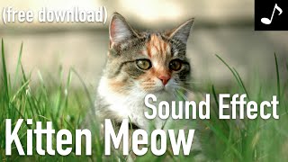 Kitten Meow Sound Effect
