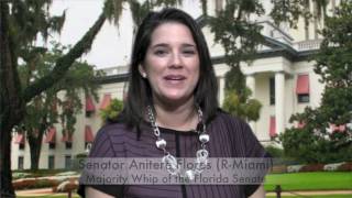 Majority Report - February 11, 2011