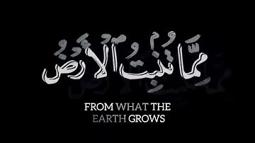 سبحان الذي خلق الأزواج كلها مما تنبت الأرض | القارئ أحمد النفيس | ما تيسر من سورة يس