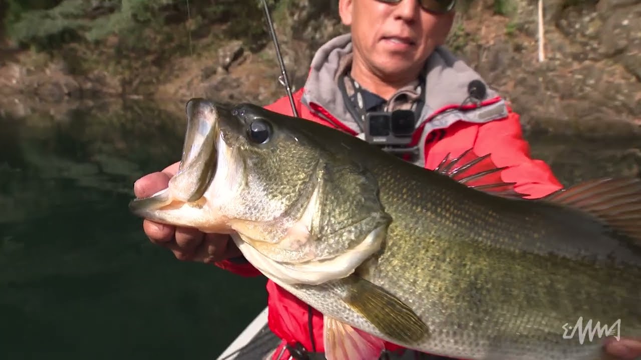 WIND JIGHEAD | deps OFFICIAL HP | デプス 公式HP