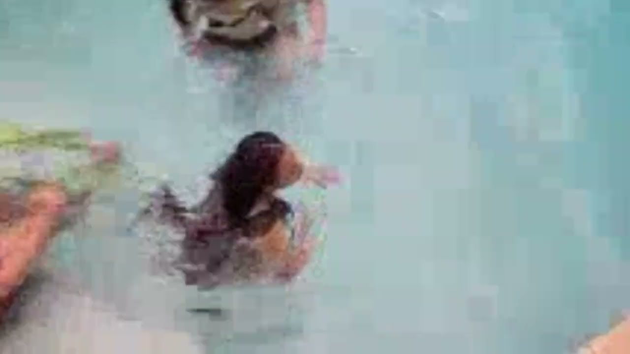 BedBug - Chinchillas In The Trap [OFFICIAL MUSIC VIDEO]