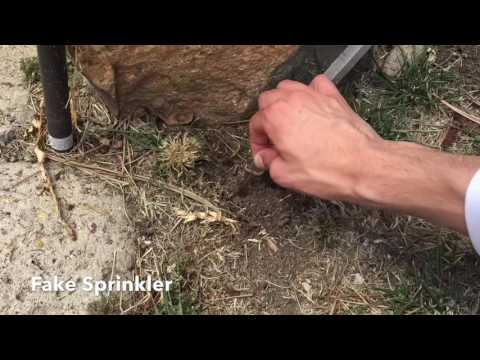 Cara Hide Spare Rumah Key | Brandon Ruff