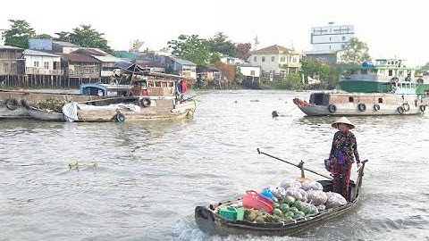 Chợ Nổi Cái Răng Cần Thơ quá vui cuộc sống trên sông nước của người miền tây