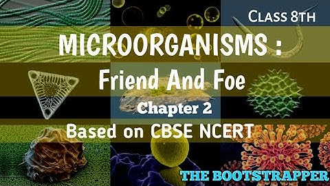 Class 8th | Science | chapter 2 | Microorganisms; Friend and Foe| CBSE NCERT | The Microbial World
