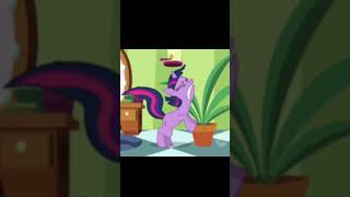 Funny Princess Twilight Is Mad At Rarity