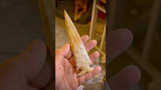 HUGE Coral “Bolen Bevel!”🪸🐠🌊  #flintknapping #arrowhead #primitive