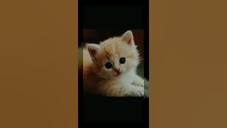 1762790485664734_u210ba63c_3