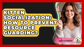 Kitten Socialization: How To Prevent Resource Guarding? - Happy Cat Handbook